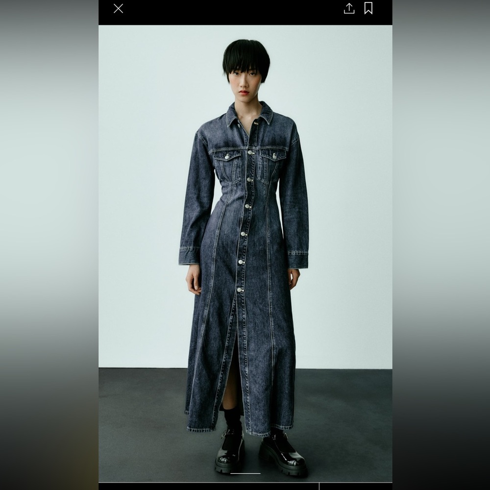 Zara denim dress